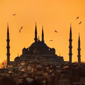 三级小女孩做爱和猪毛片
